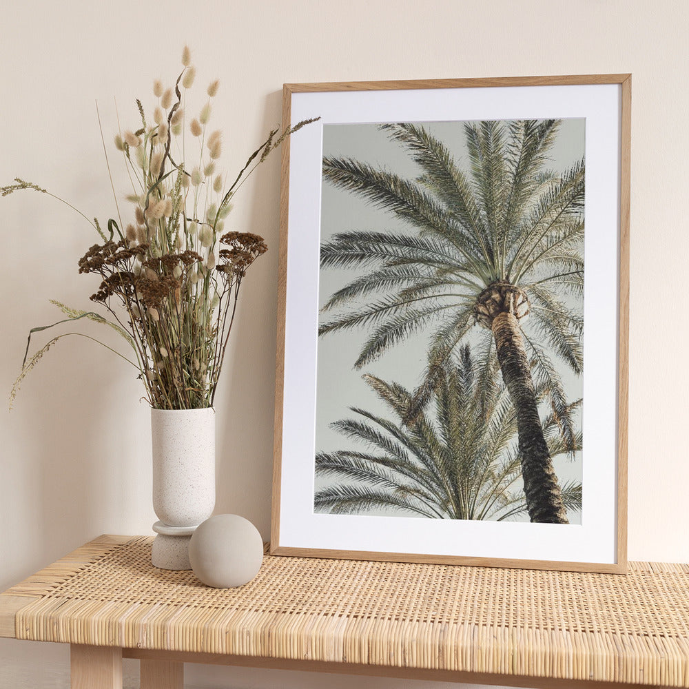 Palm_005 - Art Print by Pictufy Studio III