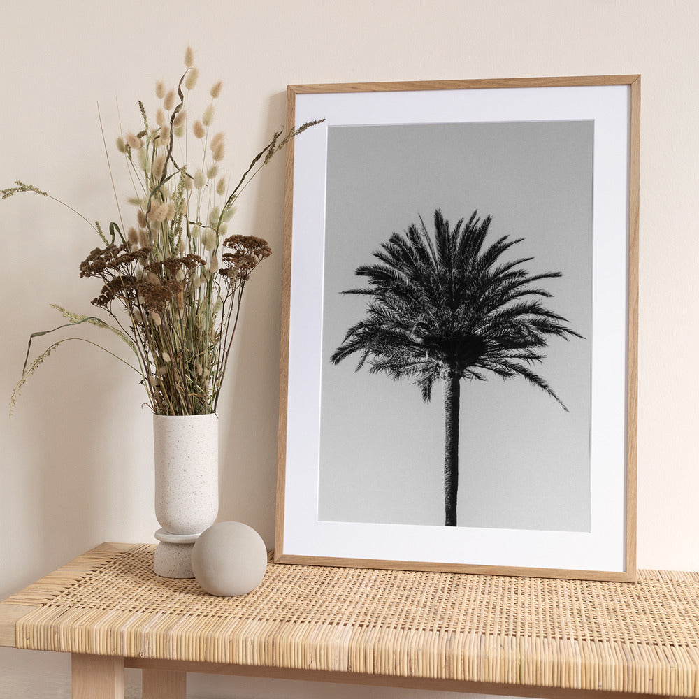 Palm_003 - Art Print by Pictufy Studio III