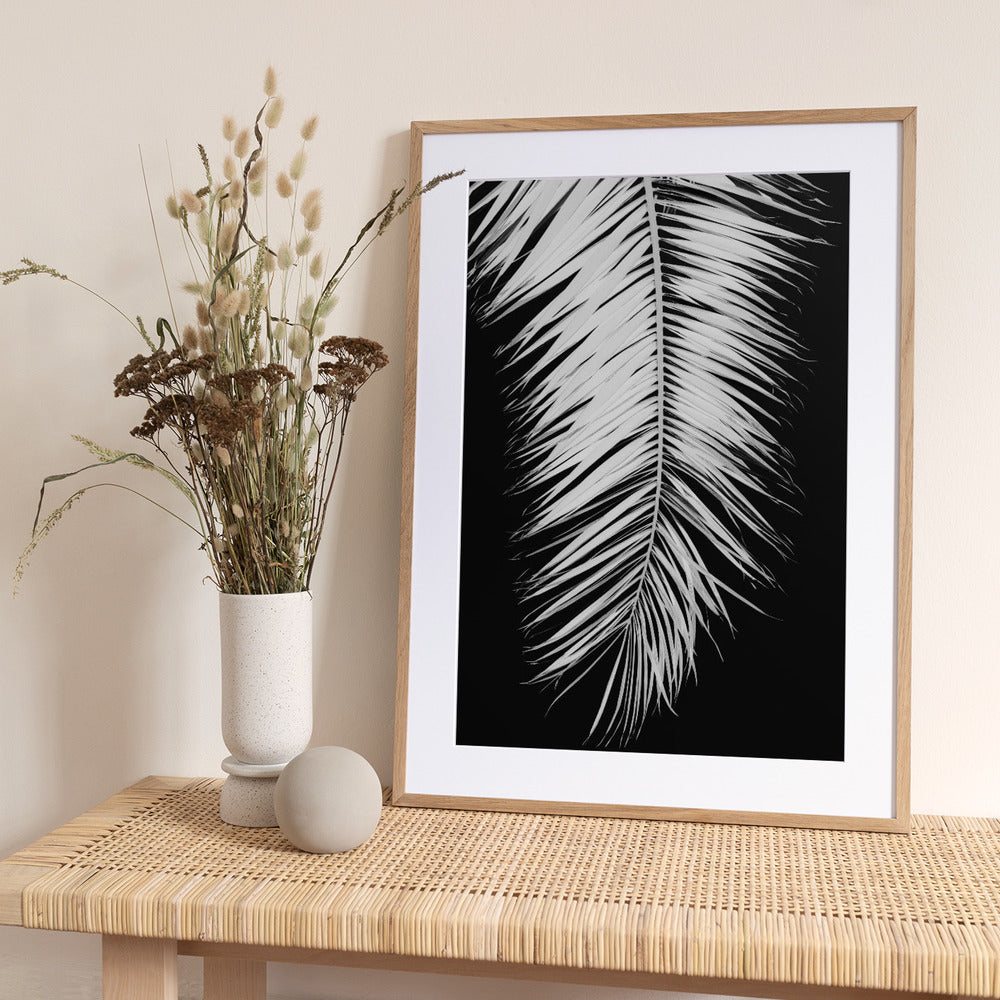 Palmblad_004 - Art Print by Pictufy Studio III