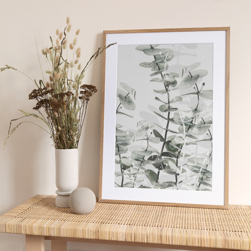 Eucalyptus_001 - Art Print by Pictufy Studio III