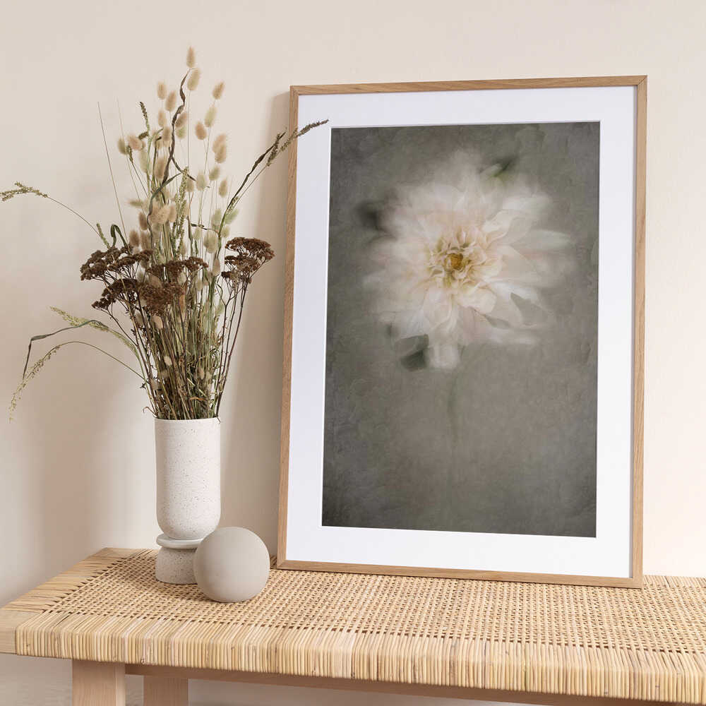 Soft White Bloom - Art Print by Cicek Kiral