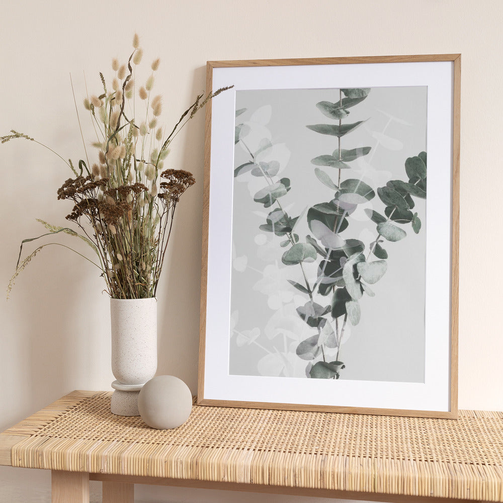 Eucalyptus_002 - Art Print by Pictufy Studio III