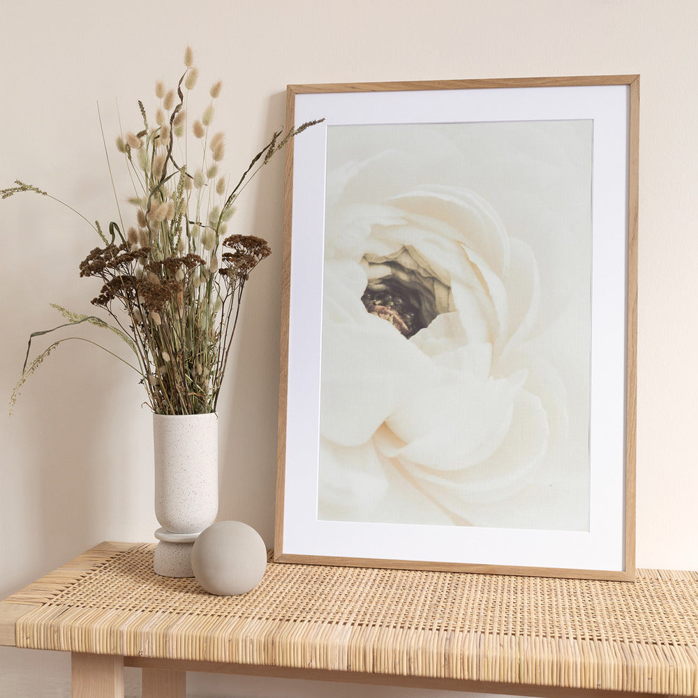 White Flower 01 - Art Print by Pictufy Studio III