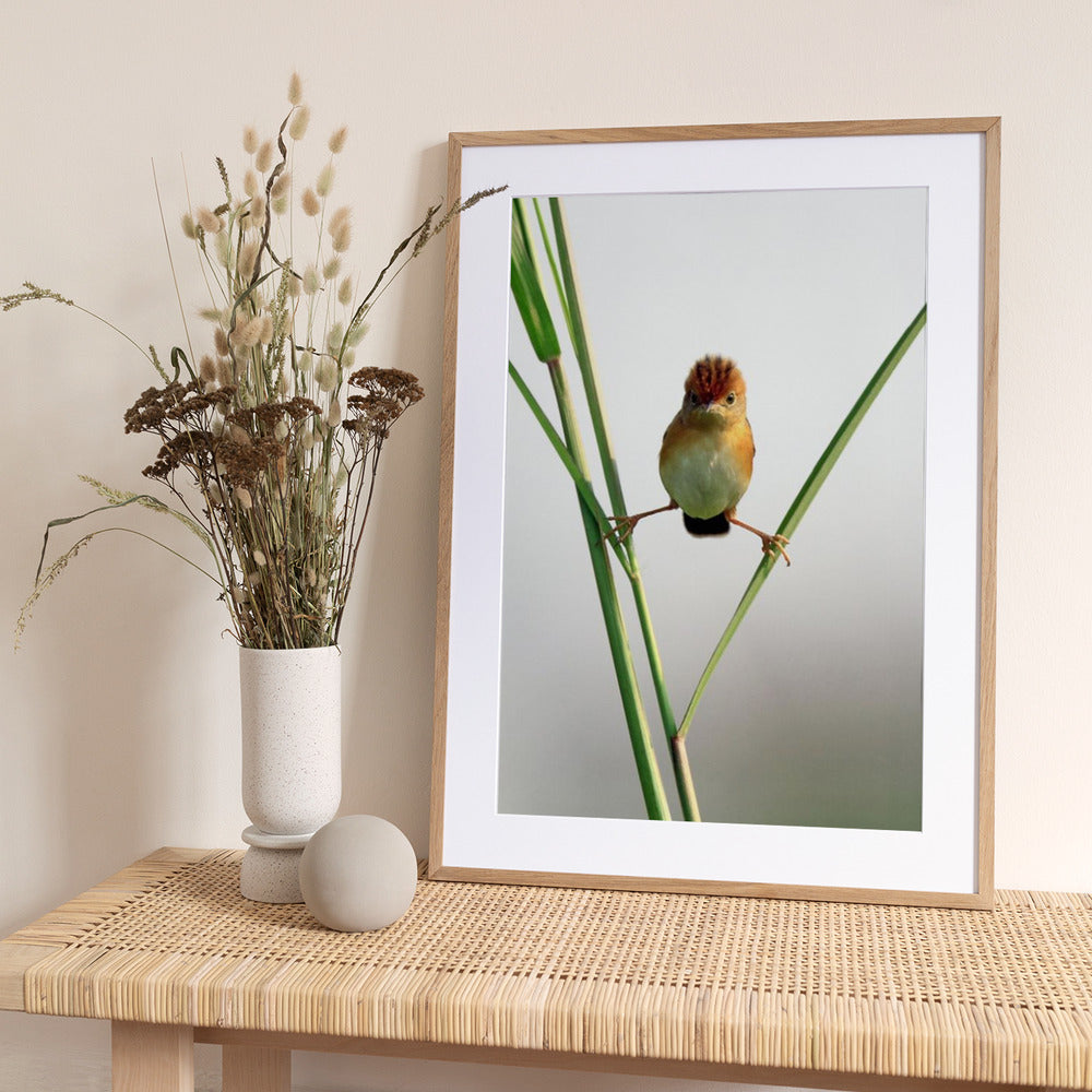 Kung Fu Master - Art Print by Lina Gunawan