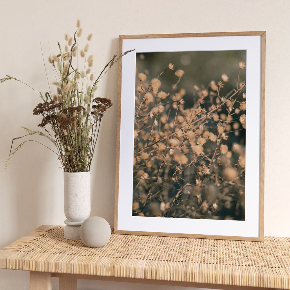 Beach flowers_003 - Art Print by Pictufy Studio III