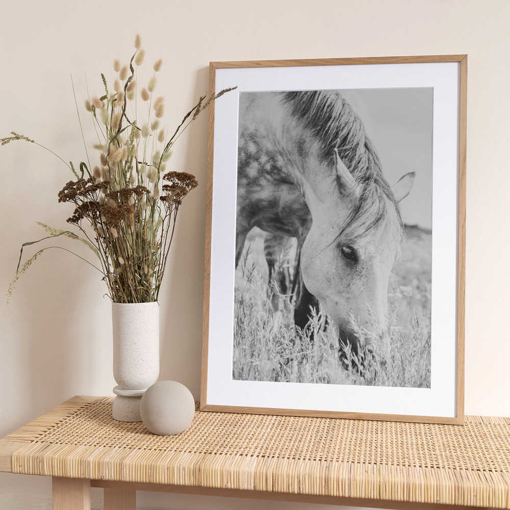 stallion - Art Print by Arendina de Jong