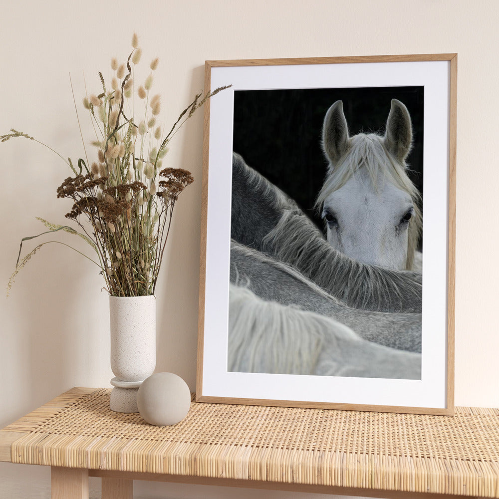 Look - Art Print by Milan Malovrh