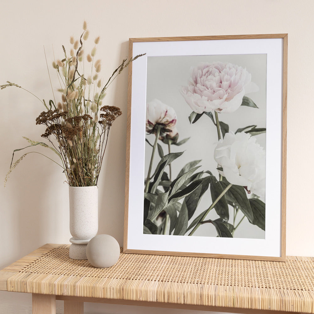 Peony 04 - Art Print by Pictufy Studio III