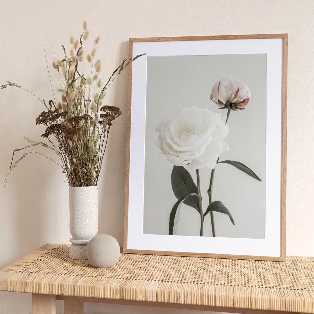 Peony 12 - Art Print by Pictufy Studio III