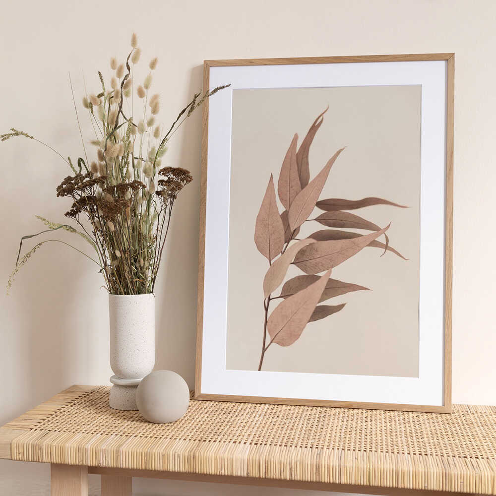 Dried Eucalyptus - Art Print by Kathrin Pienaar