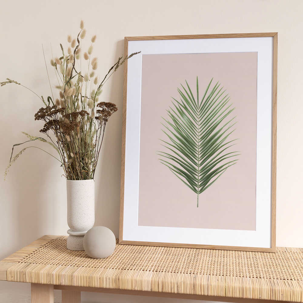 Palm Leaf Blush - Art Print by Kathrin Pienaar