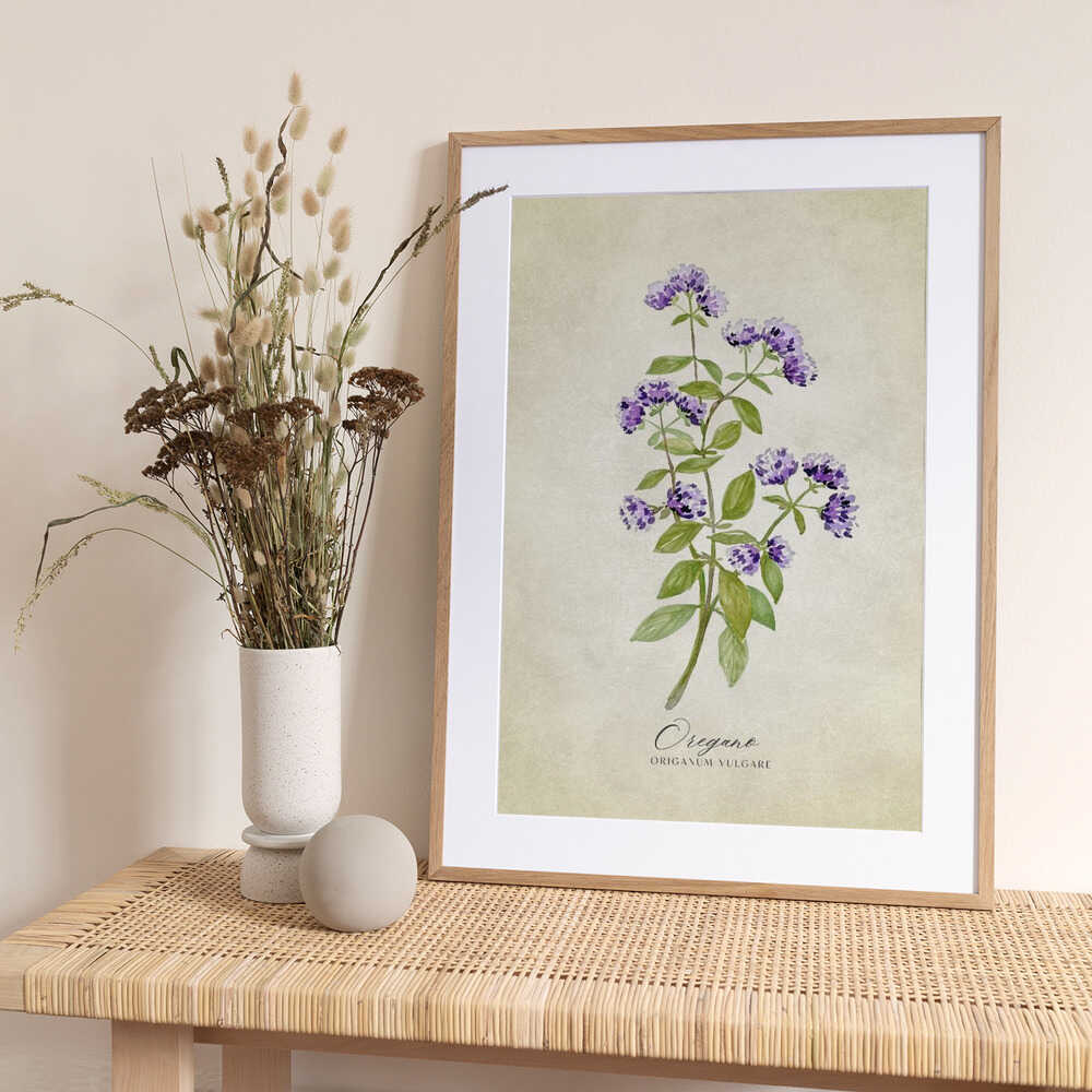 Oregano vintage - Art Print by Rosana Laiz Blursbyai