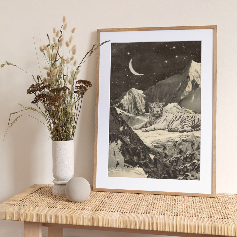 Giant White Tiger - Art Print by Florent Bodart