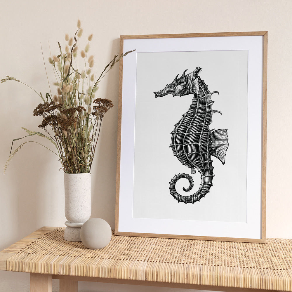 Seahorse - Art Print by jay stanley
