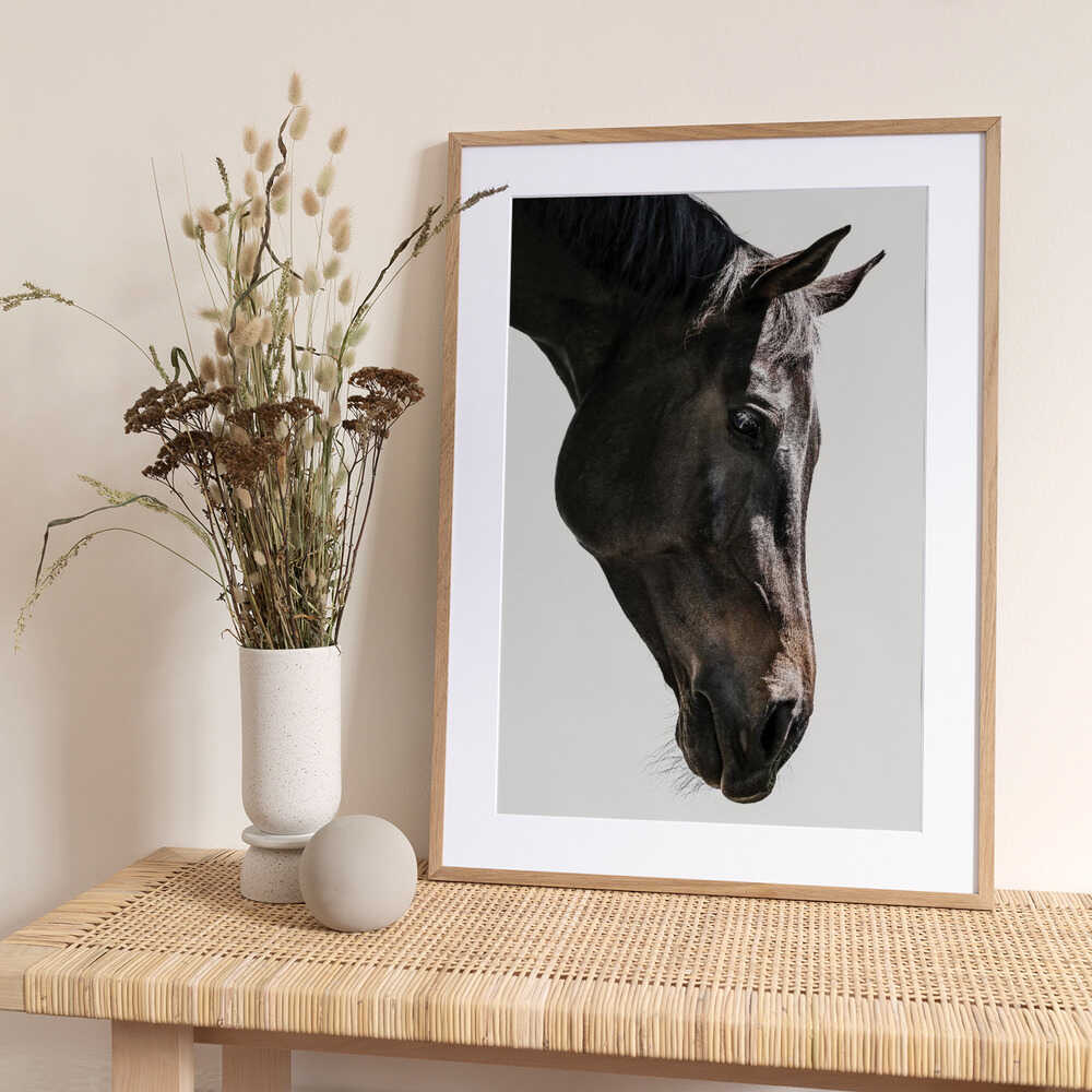 Gentle Equine Gaze - Art Print by Shot by Clint