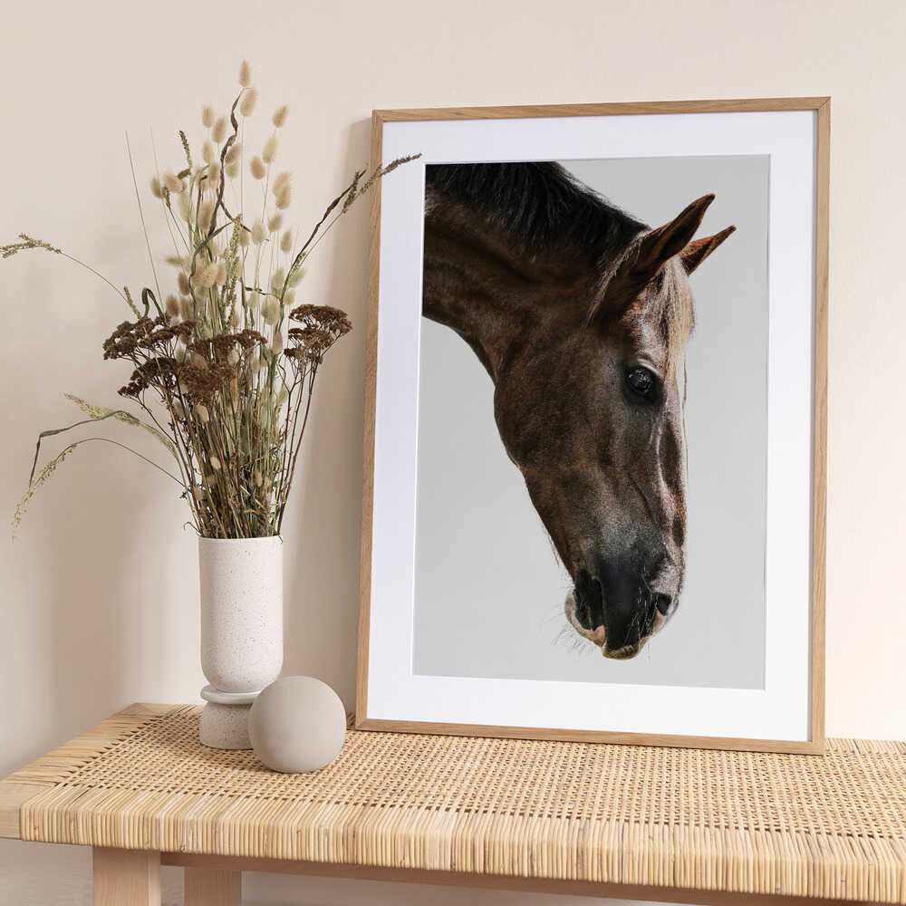 Majestic Equine Gaze - Art Print by Shot by Clint