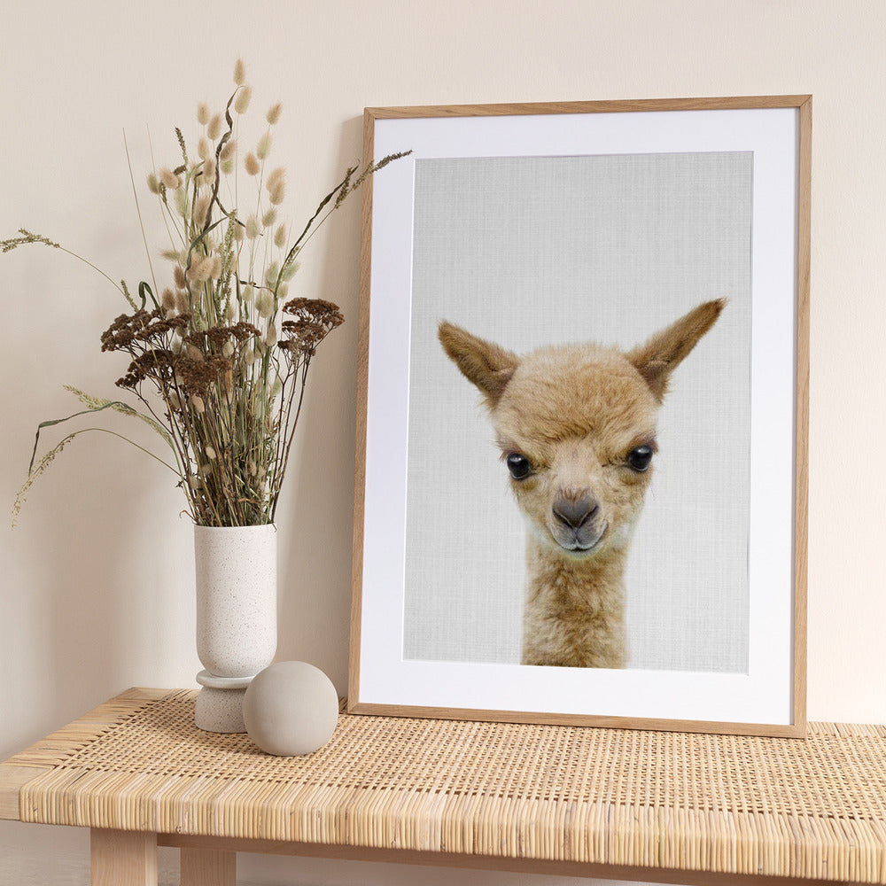 Peekaboo Baby Llama - Art Print by Lola Peacock