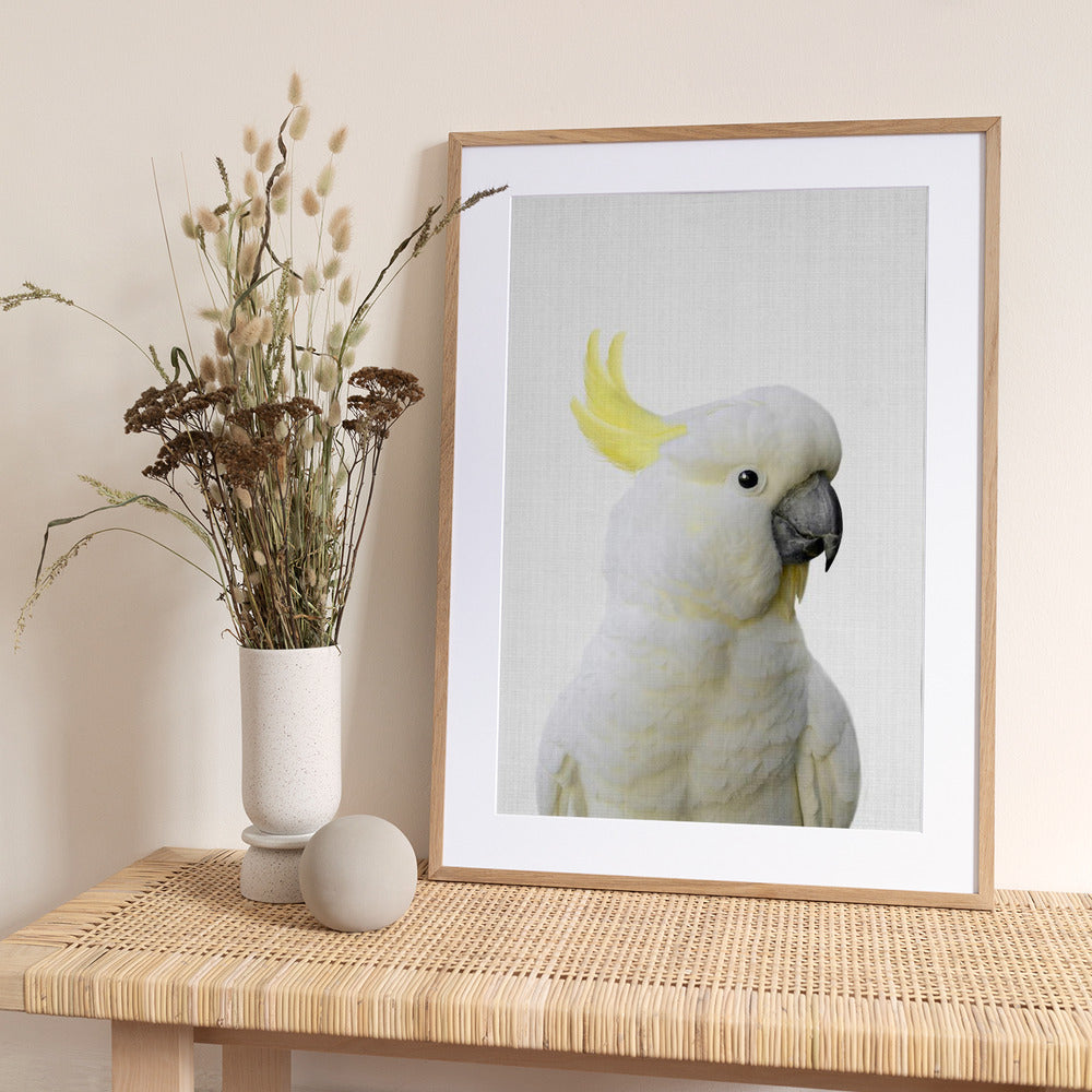 Peekaboo Cockatoo - Art Print by Lola Peacock