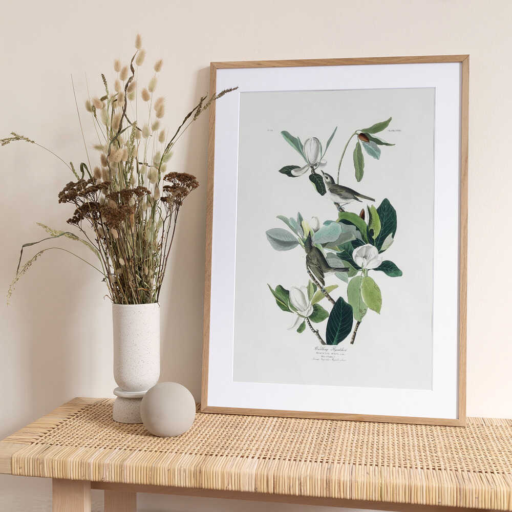 Warbling Flycatcher From Birds of America (1827) - Art Print by John James Audubon