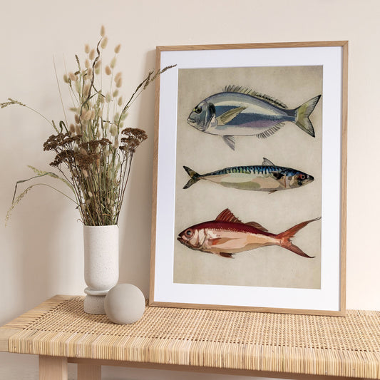 Trio of Ocean Life - Art Print by Emel Tunaboylu