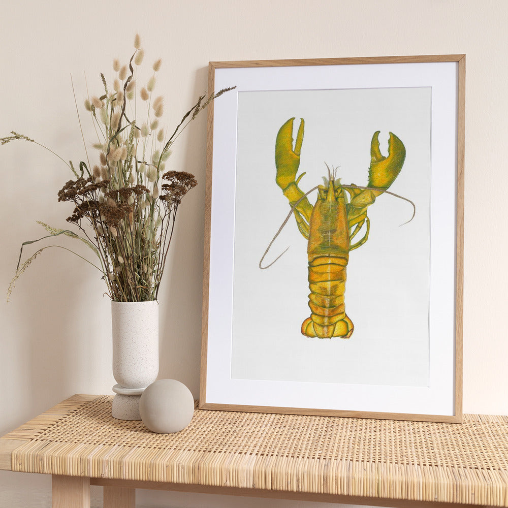 Lobster - Art Print by Akintunde Durodola