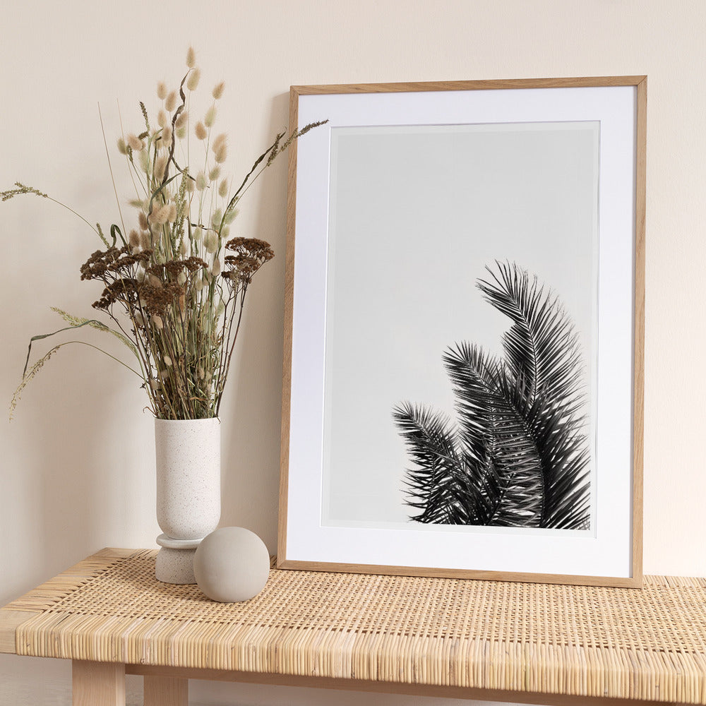 Palm Whisper - Art Print by THE MIUUS STUDIO