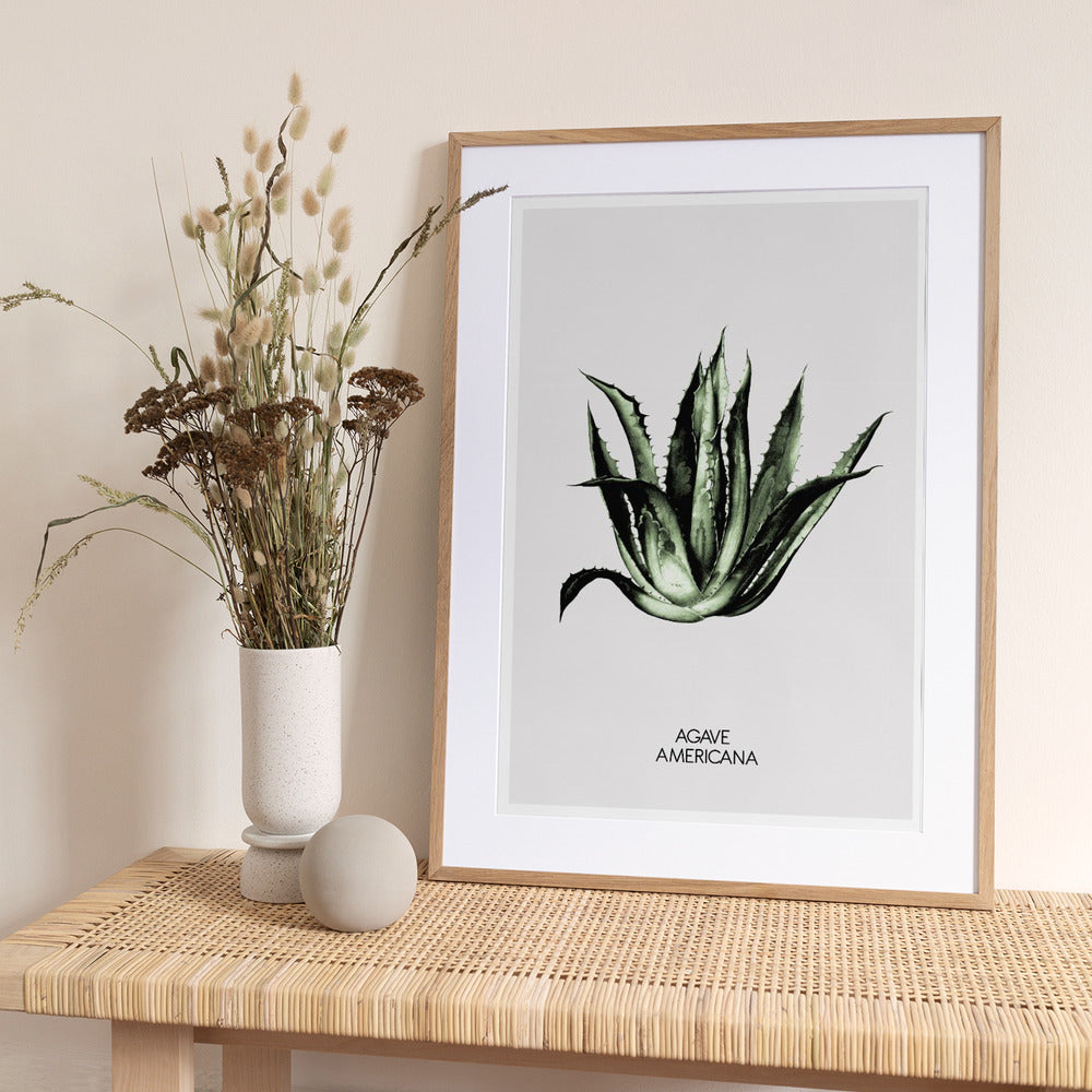 Green Agave Elegance - Art Print by THE MIUUS STUDIO