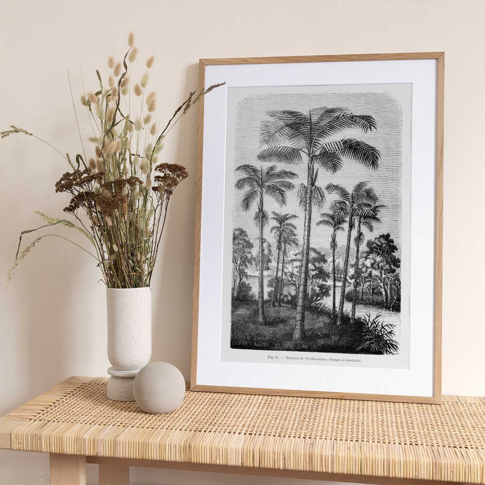 Vintage Palm Tree Drawing Ii - Art Print by Les Palmiers Histoire Iconographique