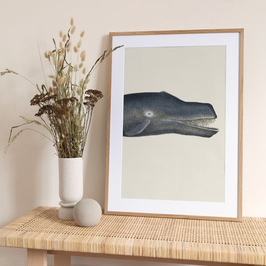 Whale I Tight Crop   Handcolored Sealife Lithograph 1824 - Art Print by Vintage Poster