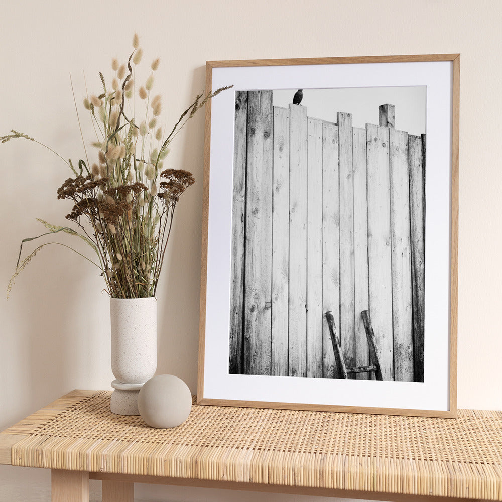 Freed - Art Print by Jürgen Hartlieb