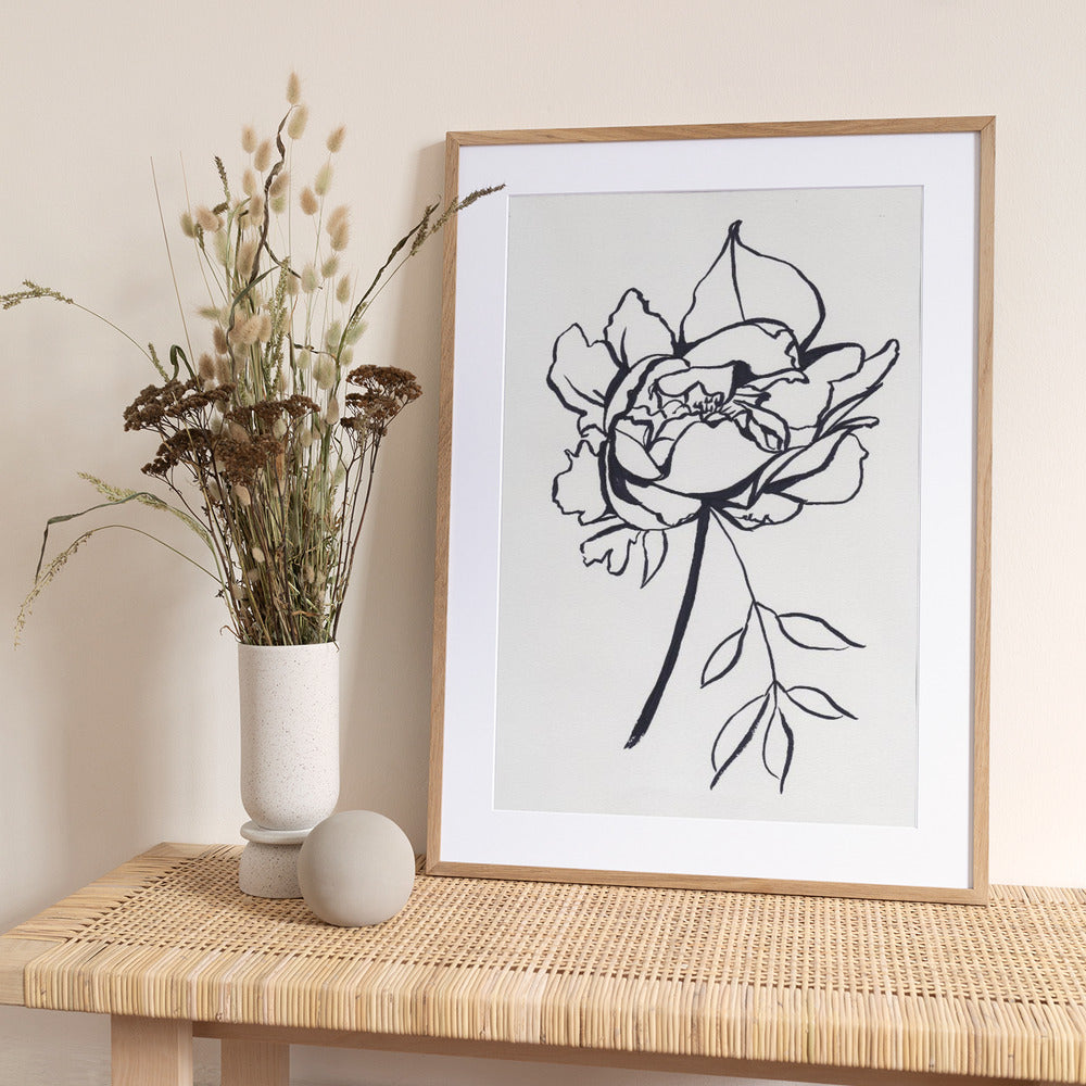 Black and White Peony Small - Art Print by Christine Lindstrom