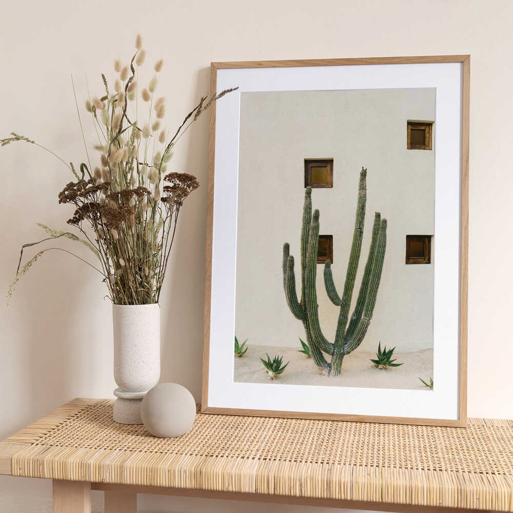 Cabo Cactus IX - Art Print by Bethany Young