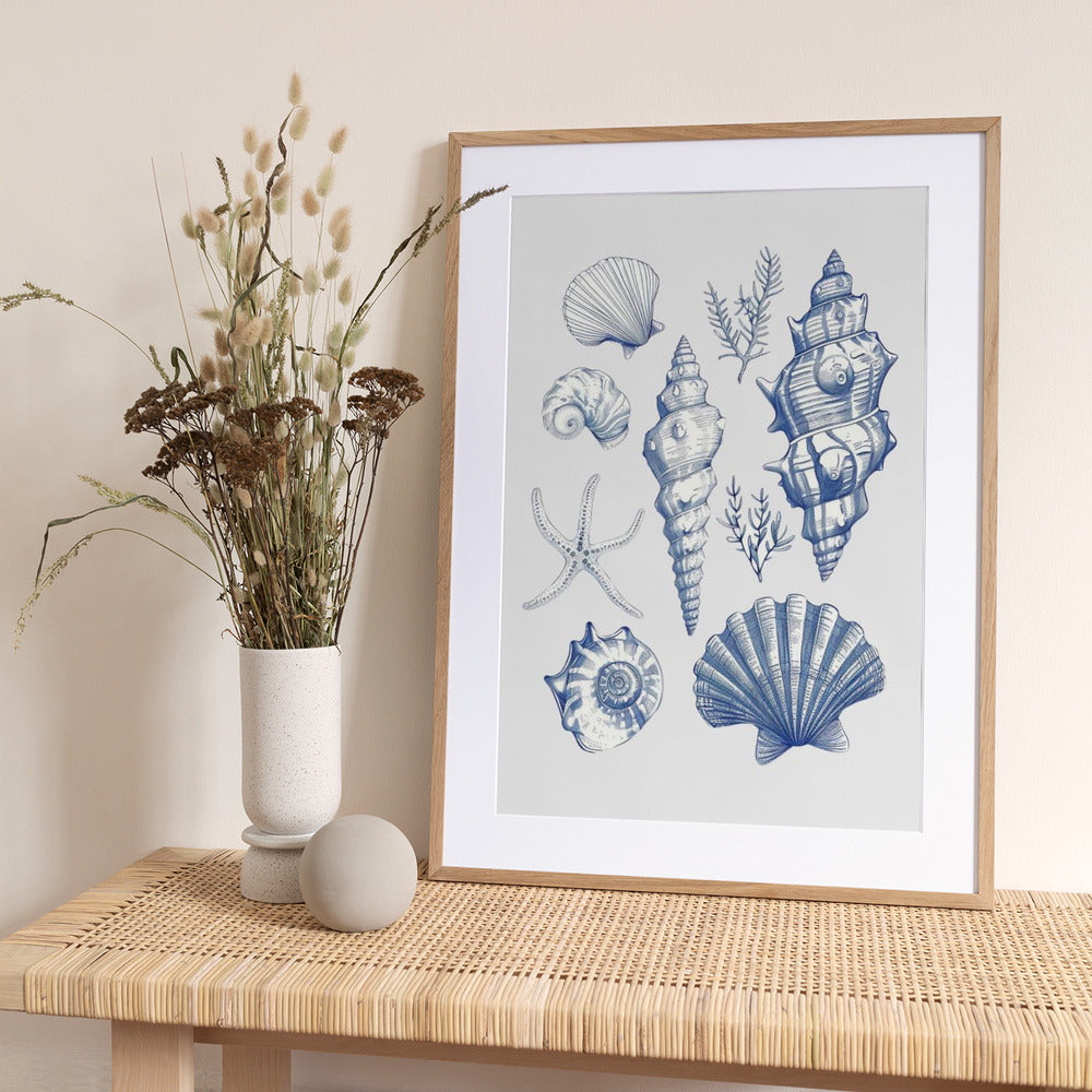 Shell Collage - Art Print by Jolly and Dash