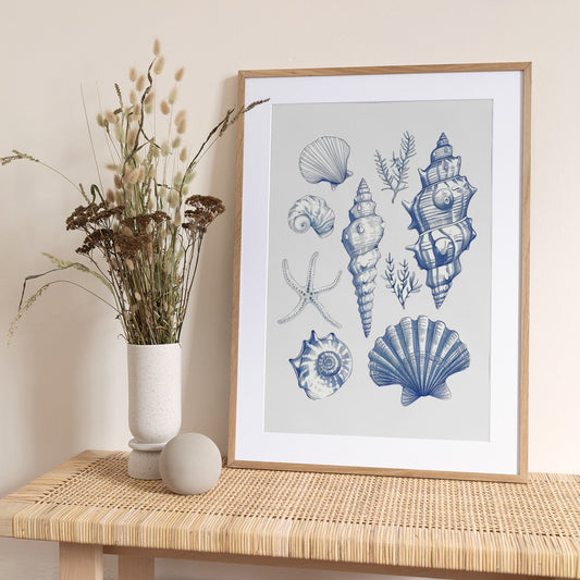 Shell Collage - Art Print by Jolly and Dash