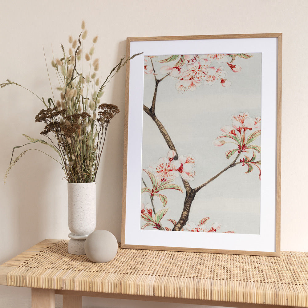 Sakura Cherry During 1870–1880 - Art Print by Megata Morikaga