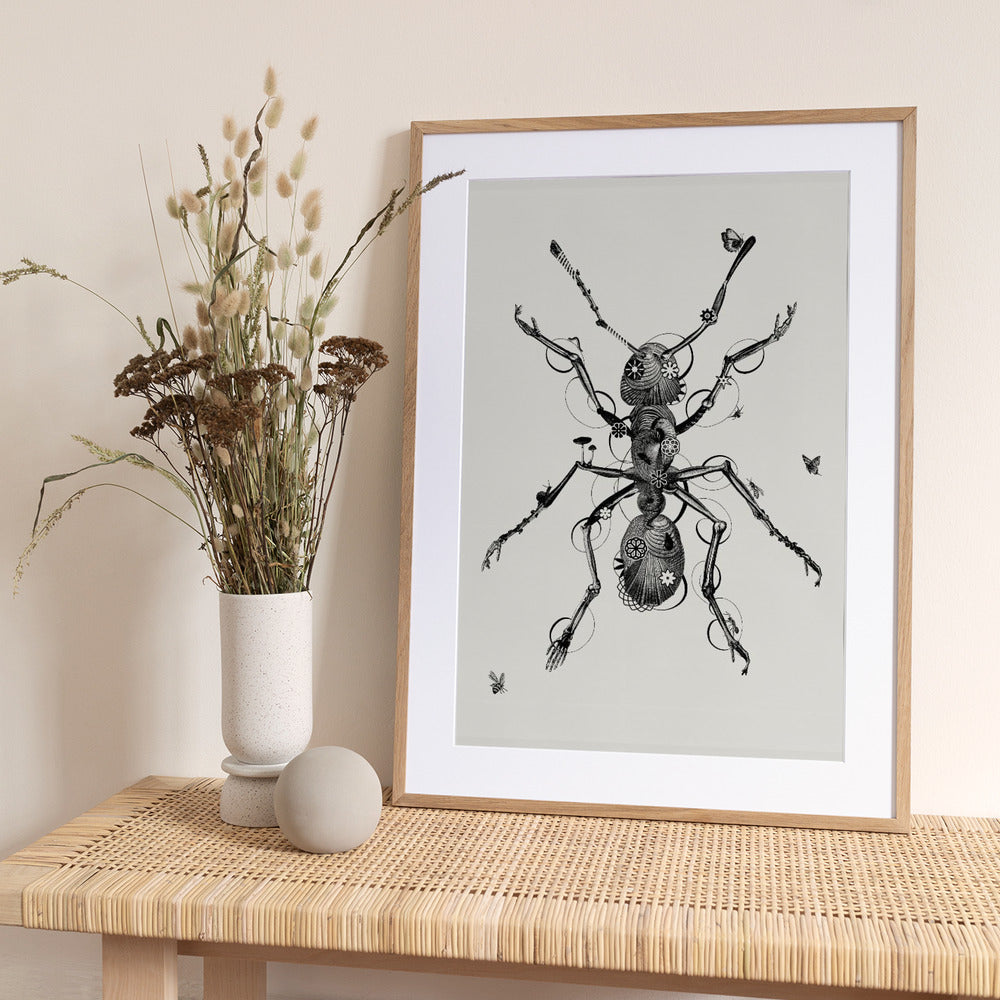Ant - Art Print by Jaco Putker