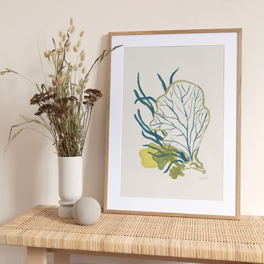 Algae No1 - Art Print by Catalina Somolinos