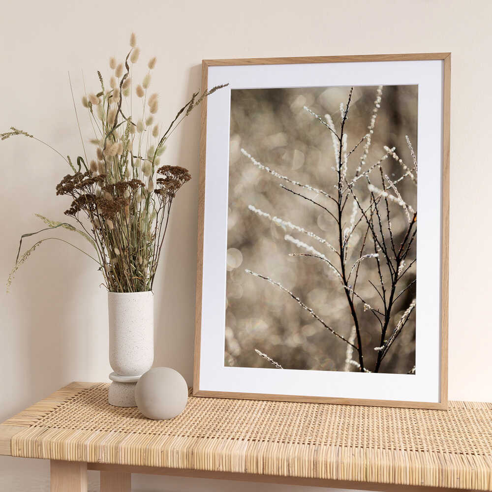 A Winter Morning 5 - Art Print by Mareike Böhmer