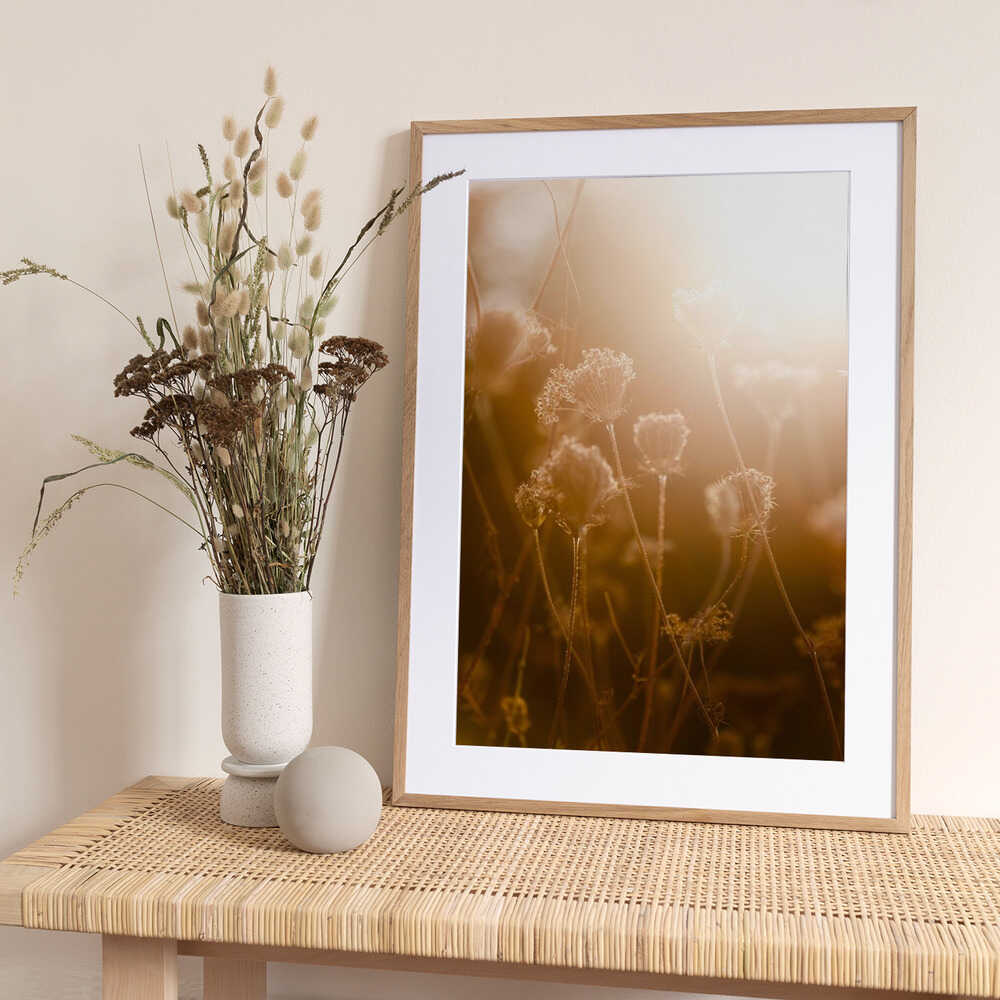 Golden Hour 1 - Art Print by Mareike Böhmer
