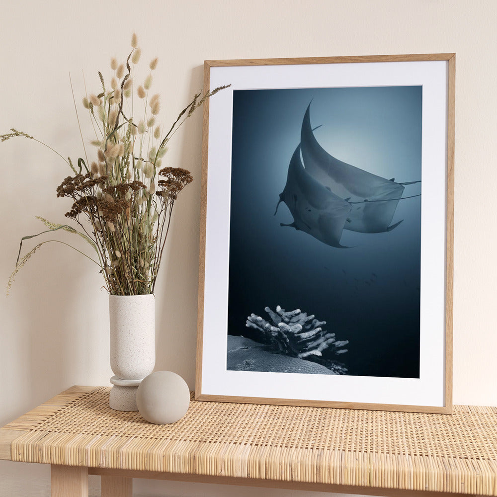 Sonata - Art Print by Andrey Narchuk