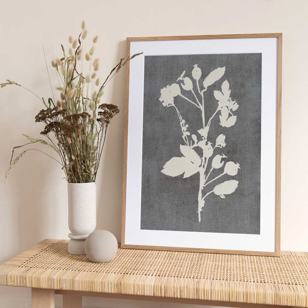 Botanical Rose Silhouette - Art Print by cartissi