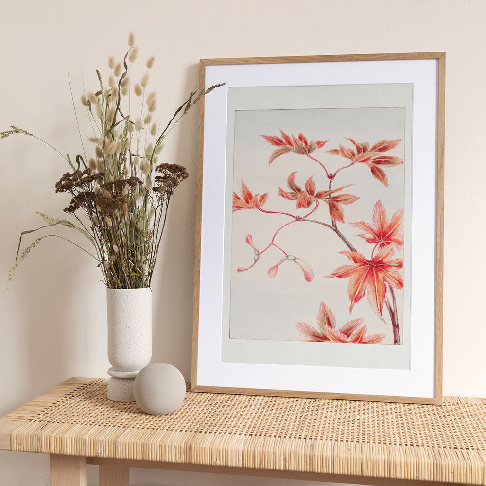 Branch of Momiji Maple Tree With Leaves and Seeds During 1870–1880 - Art Print by Megata Morikaga