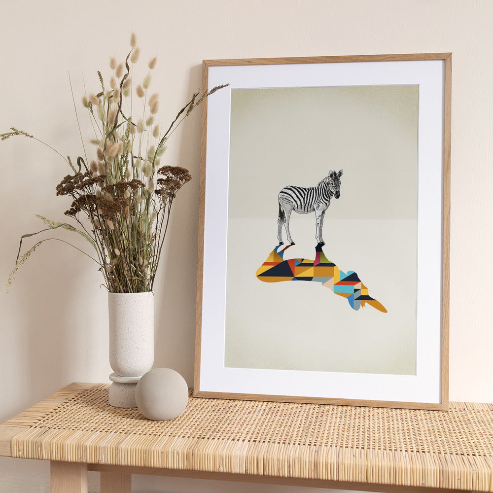 Walking Shadow, Zebra - Art Print by Jason Ratliff