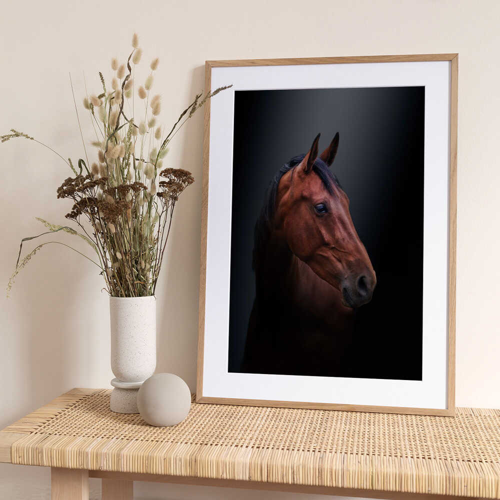 Brown beauty - Art Print by Gert J ter Horst