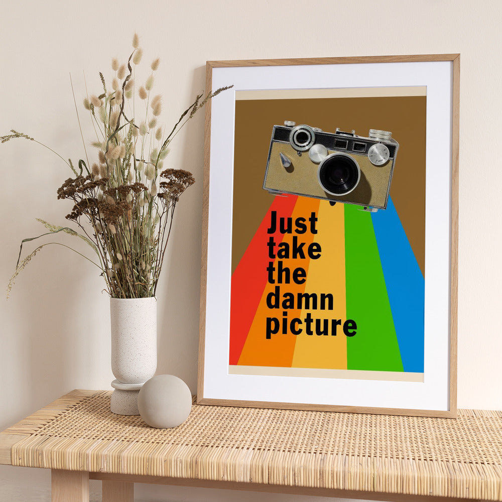 Just Take the Damn Picture - Art Print by WallChart Art Studio