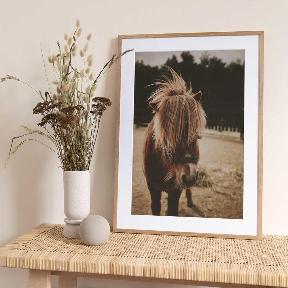 Pony with a Shaggy Mane - Art Print by Javier Pardina