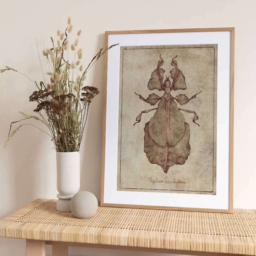 Phyllium Siccifolium Copy - Art Print by Mike Koubou