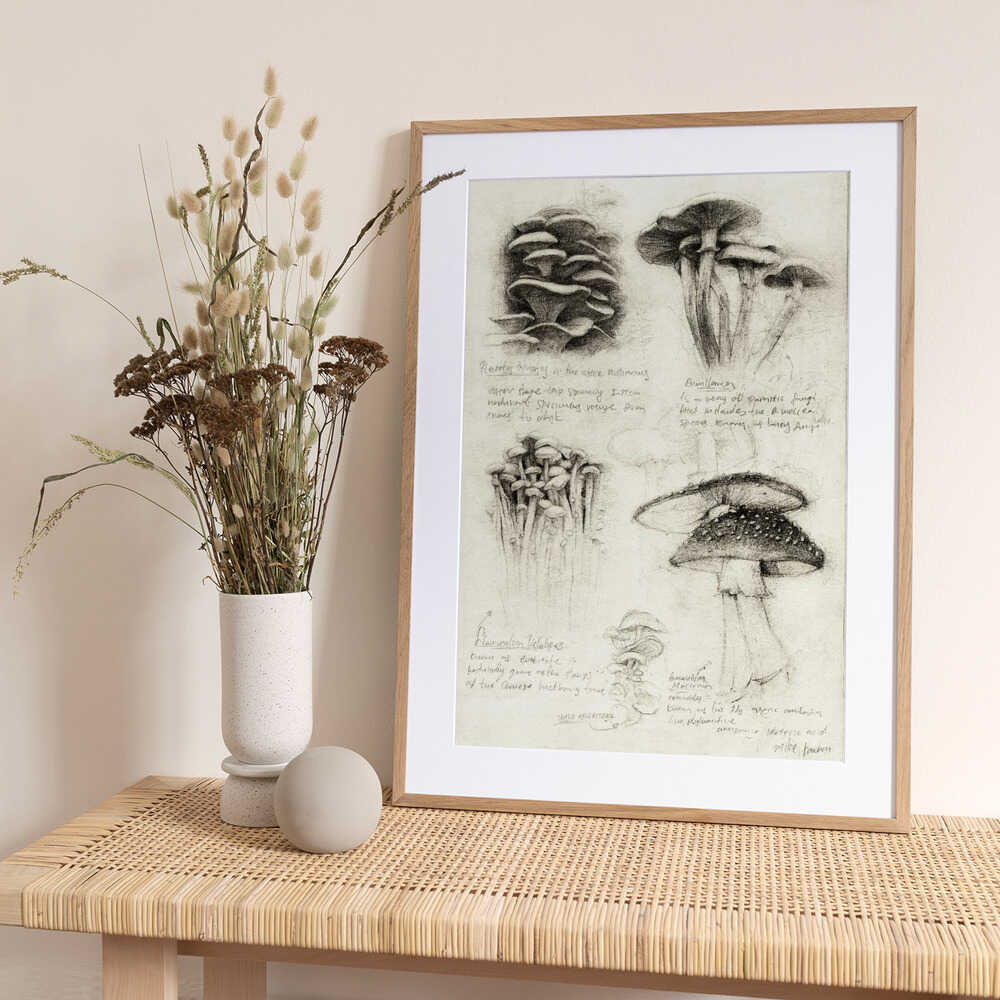 Various Botanical Mushrooms - Art Print by Mike Koubou