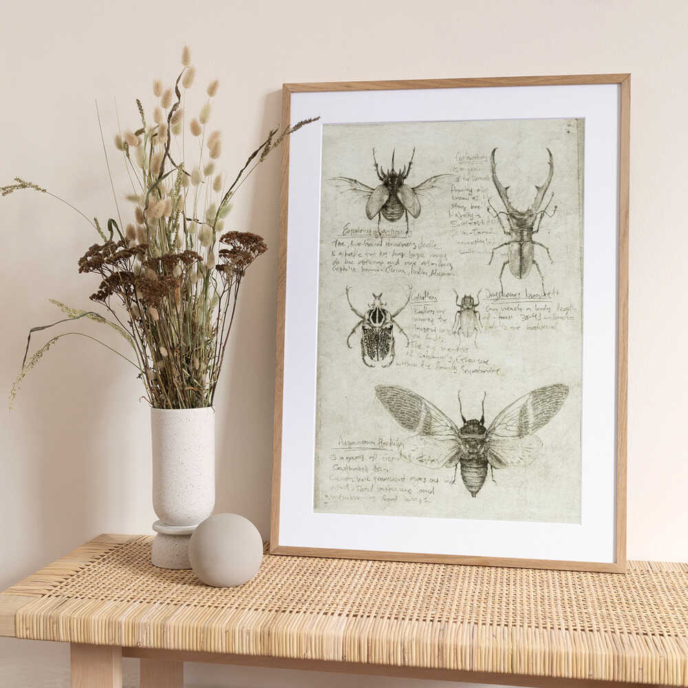 Sketches Of Cars And Insects - Art Print by Mike Koubou