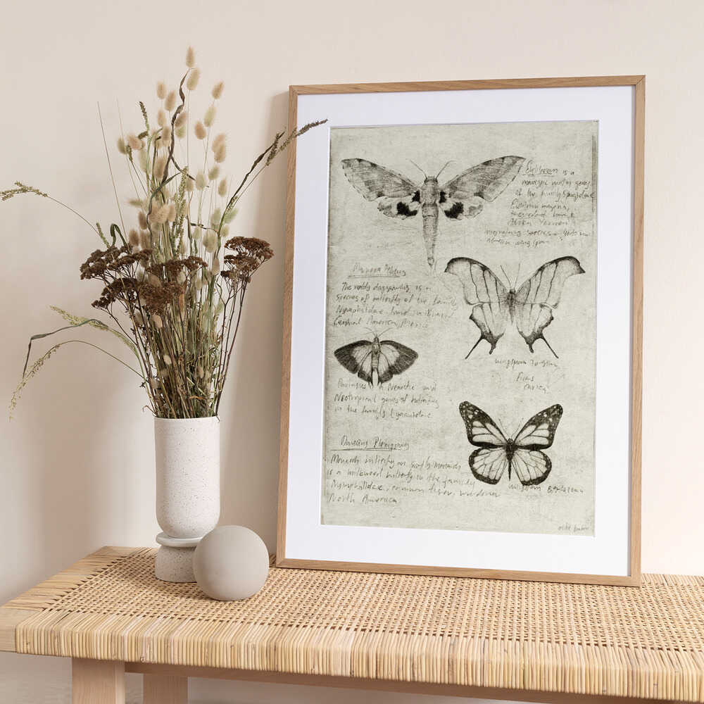 Butterfly Illustrations - Art Print by Mike Koubou
